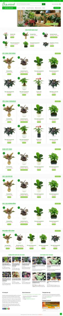 Cây Xanh - Website bán cây cảnh, cây bon sai đẹp