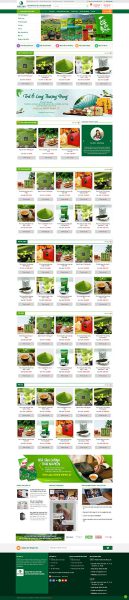 Trà xanh - Website bán trà xanh Hải Trà